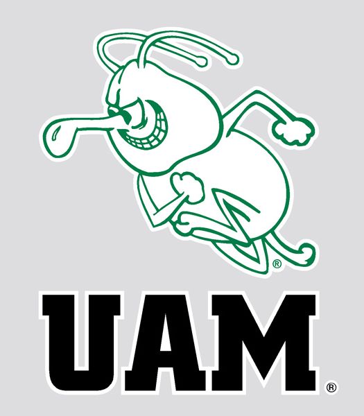 University of Arkansas at Monticello Boll Weevils Decal